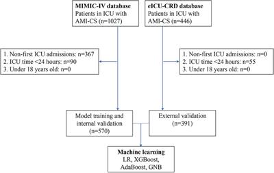 Machine learning-based prediction of mortality in acute myocardial infarction with cardiogenic shock